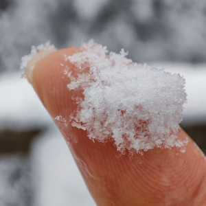Vol.10 养自己：这是最冷的季节，这是最甜的季节