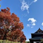 三水闰