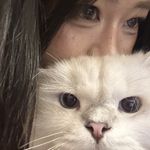 是的我不讲礼貌