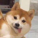 没活了咬个打火机