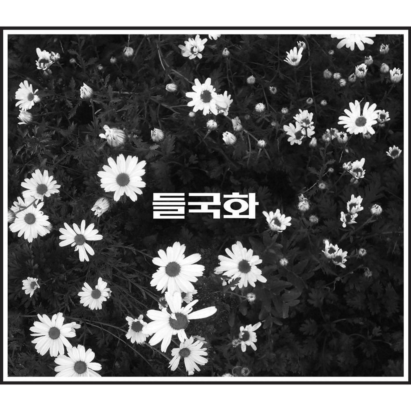 些许周报 | 字节跳动正推进AI手机合作、TikTok在美七年曲折终落定、欧盟放宽燃油车禁令、《科学》年度十大突破 episode artwork