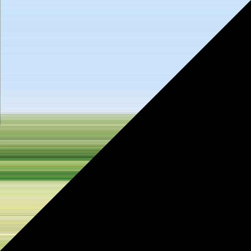 podcast-avatar