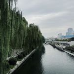 跨栏大背心