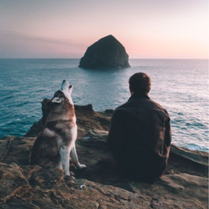 Emo SOS | 被误解的愤怒，它竟然是我的「护卫犬」。