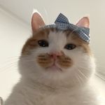 小辣椒超爱吃辣条