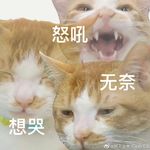 会喷火