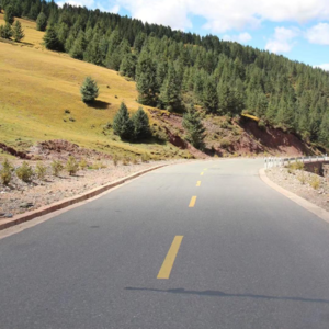 Vol.17公路电台ep04首先欢迎班上来了女同学，然后一起牛马齐鸣。