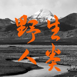 野生人类 Wild Human