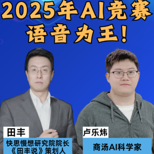 第378集 2025年AI竞赛，语音为王！