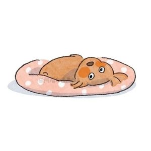 谭雅琳