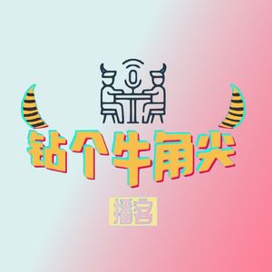钻个牛角尖FM
