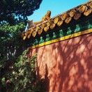 雯华若锦_sSXj