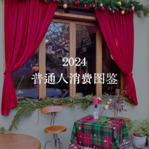 36🧩普通人年度省钱图鉴,消费降级后,钱真的花少了吗