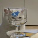 我的脸会变成红苹果