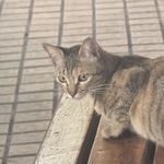 小梦_理想主义者