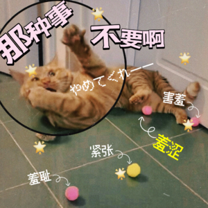 脸红心跳逃不掉，害羞羞涩唠一唠(´▽`ʃ♡ƪ)"