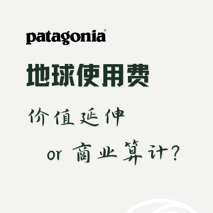 Patagonia天猫店要收地球使用费了