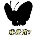 小兔老师