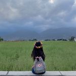 蜂蜜拌花椒