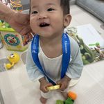 雪梨吗