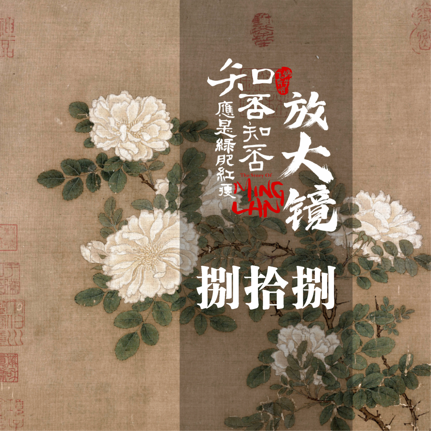 知否放大镜88 ：曼娘的选择 episode artwork