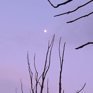 podcaster-avatar