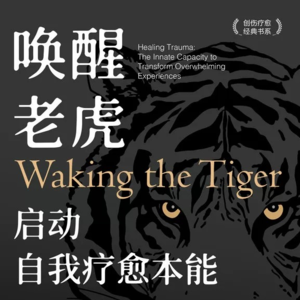 《唤醒老虎：启动自我疗愈本能》上丨如果你正在遭受心理创伤，不妨看一下这本书