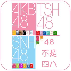 48不是四八