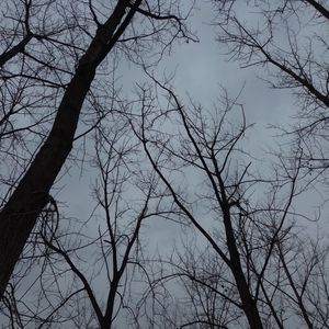 podcaster-avatar