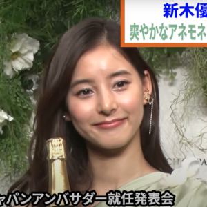 【020】日语听力|新木优子代言香槟品牌|N3文法~ようにする