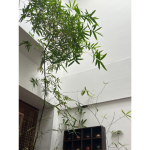 006.【销售】吸引大于一切