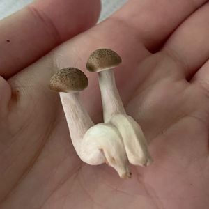一周七天