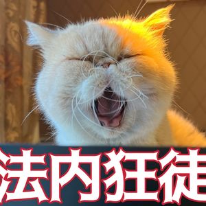 7. 继承人查询已故亲属银行流水并不难