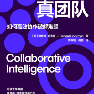 《真团队:如何高效协作破解难题》