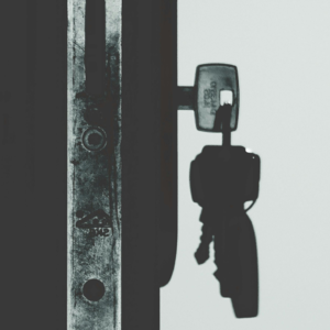 29.村中女子头中四十多刀，凶手藏匿藏匿在人群中