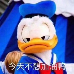 小熊学说话