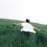 方梦飞