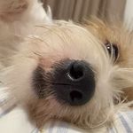 贾思敏一点也不mean