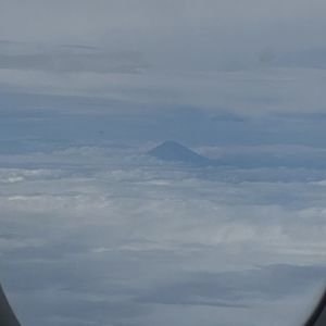 三分钟热度的托托