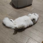 你告诉我游乐园里有什么