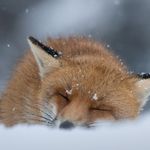 nakimix