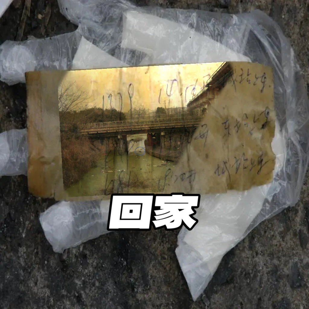 007 沪杭线铁路桥下的浮尸——列车交汇处，是不是你回不去的家🚂 episode artwork