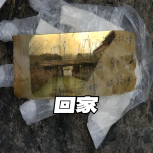 007 沪杭线铁路桥下的浮尸——列车交汇处，是不是你回不去的家🚂