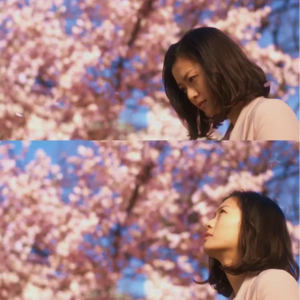 ky.【日剧孤儿】2025年冬季档·日本的深夜剧要跟国产短剧取经了