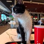 爱停留在寒冷多雨的昨日