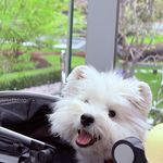 望向星空的眼睛