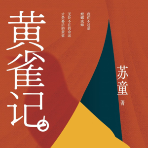 053 苏童《黄雀记》：对不起，苏童先生