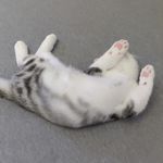 逝去的夏日