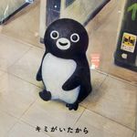 星野23