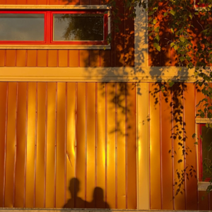 03 国内教育时常带给我无力感